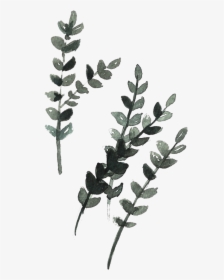 Leaves, HD Png Download, Transparent PNG