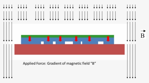 Magnetic Field Assisted Micro Contact Printing, HD Png Download, Transparent PNG
