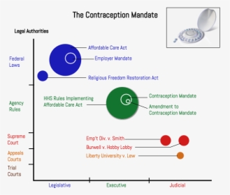 Contraception Mandate Graph - Circle, HD Png Download, Transparent PNG