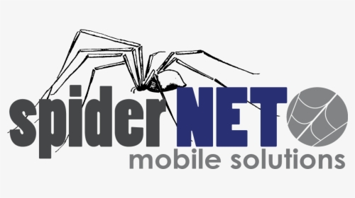 Logo - Spider Net, HD Png Download, Transparent PNG