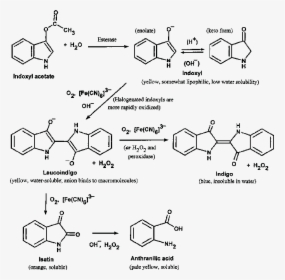 Synthesis Of Clozapine, HD Png Download, Transparent PNG