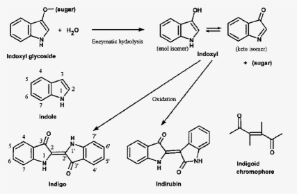 Bis Ethylhexyloxyphenol Methoxyphenyl Triazine Absorbance, HD Png Download, Transparent PNG