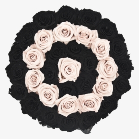 Orb Grand New Sand And Black Rows Roses , Png Download - Icon, Transparent Png, Transparent PNG
