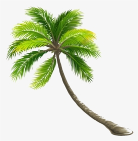 Coconut Tree Png File - Transparent Coconut Tree Png, Png Download, Transparent PNG