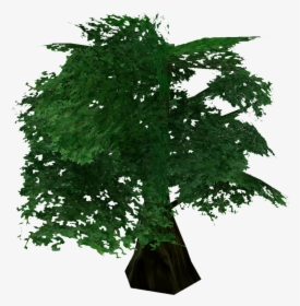 New Mexico Maple, HD Png Download, Transparent PNG