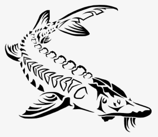 Sturgeon Drawing Transparent Png Clipart Free Download - Sturgeon Clipart, Png Download, Transparent PNG