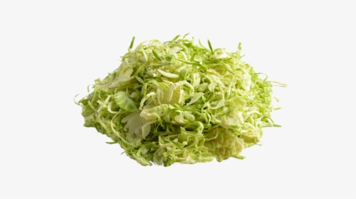 Endive, HD Png Download, Transparent PNG