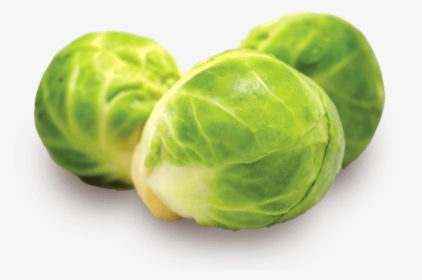 Meaning Brussels Sprouts In Hindi, HD Png Download, Transparent PNG