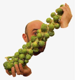 Fruit, HD Png Download, Transparent PNG