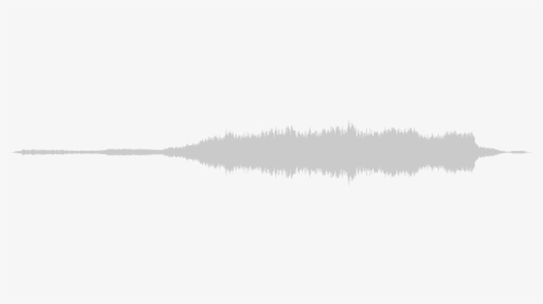 Spruce, HD Png Download, Transparent PNG
