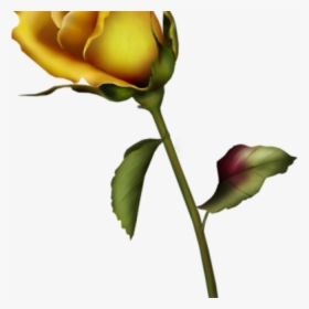 Yellow Rose Clipart Yellow Rose Bud Clip Art Gallery - Single Yellow Rose Vector, HD Png Download, Transparent PNG