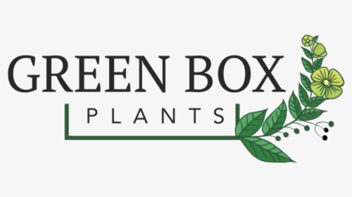 Green Box Plants - Nokia X6 Black Black, HD Png Download, Transparent PNG