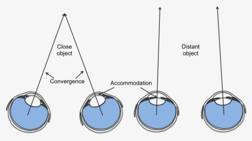 Binocular Depth Perception Chart - Depth Perception Eye, HD Png Download, Transparent PNG