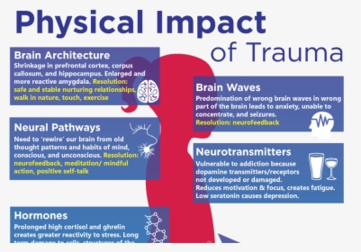 Impact Of Trauma On Body, HD Png Download, Transparent PNG