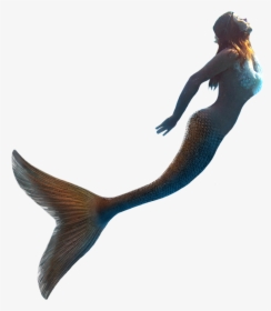Little Mermaid Llc United Kingdom - Real Mermaid Transparent Png, Png Download, Transparent PNG