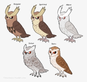 Regular Spotted Albino Snowy Barn Elicomics - Owl Pokemon, HD Png Download, Transparent PNG