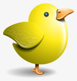 Twitter Vector Icons Massive Icon Set - Yellow Bird Icon, HD Png Download, Transparent PNG