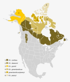 Caribou Range North America , Png Download - Caribou Range North America, Transparent Png, Transparent PNG