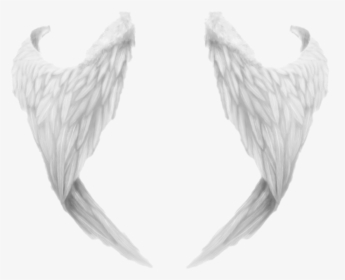 Angel Wings Png File - ادوات تصميم مقصوصه, Transparent Png, Transparent PNG