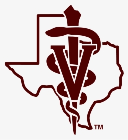 Texas A&m College Of Veterinary Medicine, HD Png Download, Transparent PNG