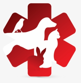 Veterinarian Logo Clipart, HD Png Download, Transparent PNG