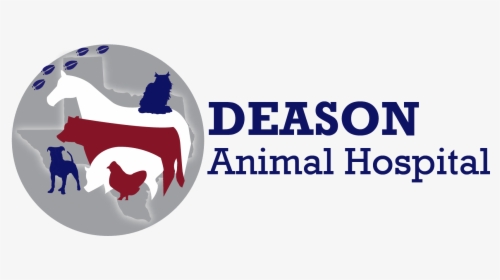 Stevens, Veterinarian At Deason Animal Hospital In - Graphic Design, HD Png Download, Transparent PNG