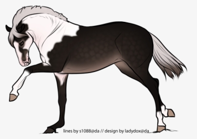 Stallion, HD Png Download, Transparent PNG