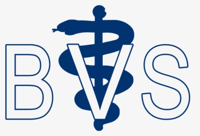 Brink Veterinary Service - Veterinary Symbol, HD Png Download, Transparent PNG