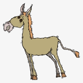 Vector Illustration Of Jackass Male Donkey Ass Domesticated, HD Png Download, Transparent PNG