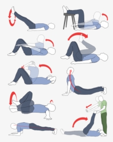 Exercise For Belly Fat After C Section, HD Png Download, Transparent PNG