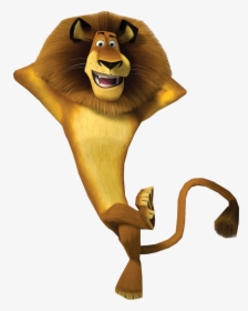 Moto Moto Madagascar 2, HD Png Download - 735x420 PNG 