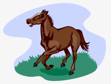 Vector Illustration Of Quadruped Equine Horse Running, HD Png Download, Transparent PNG