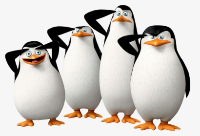 Los Pingüinos De Madagascar - Penguins Of Madagascar Hd, HD Png Download, Transparent PNG