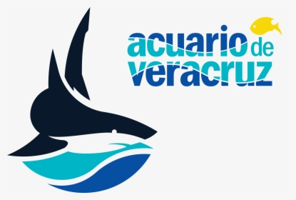 Acuario De Veracruz, HD Png Download, Transparent PNG