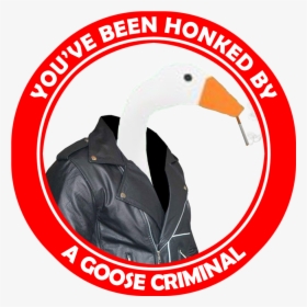 Honk Goose Criminals   Title Honk Goose Criminals - Goose, HD Png Download, Transparent PNG