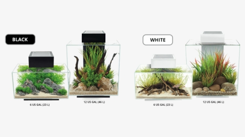 Fluval Edge, HD Png Download, Transparent PNG
