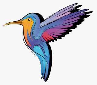 Png Black And White Color Cartoon Bird Transprent Png - Colorful Birds Cartoon, Transparent Png, Transparent PNG