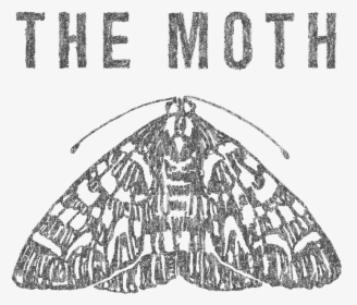 Moth Podcast, HD Png Download, Transparent PNG