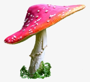 Alice In Wonderland Mushroom Png Clip Art Royalty Free - Alice In Wonderland Mushroom Png, Transparent Png, Transparent PNG