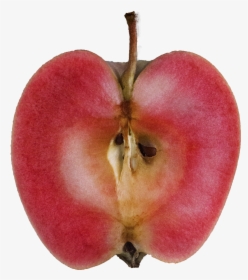 Mountain Rose Apples, HD Png Download, Transparent PNG
