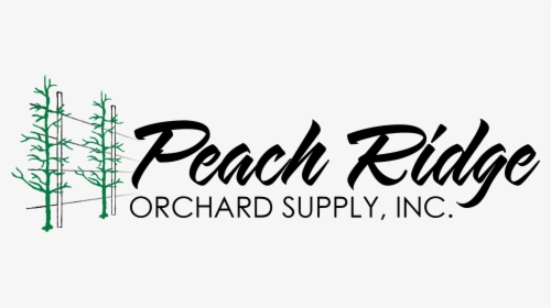 Peach Ridge - Calligraphy, HD Png Download, Transparent PNG