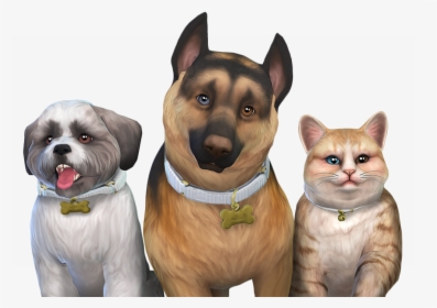 Sims 4 Eyes Pets, HD Png Download, Transparent PNG