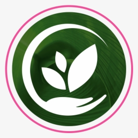 Thumbnail, HD Png Download, Transparent PNG