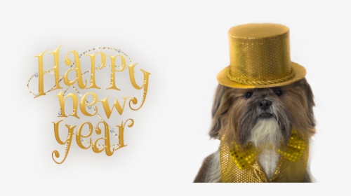 Happy New Year - Shih Tzu, HD Png Download, Transparent PNG