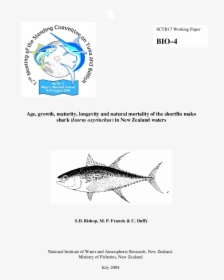Billfish, HD Png Download, Transparent PNG
