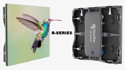 R-series - Jacamar, HD Png Download, Transparent PNG
