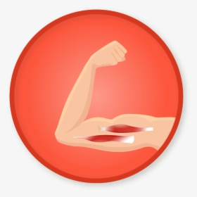 Info Icon, HD Png Download, Transparent PNG