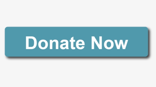 Picture - Donate Now, HD Png Download, Transparent PNG