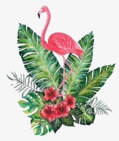 Flamingo Png Transparent Image - Tropical Flowers Png Transparent, Png Download, Transparent PNG