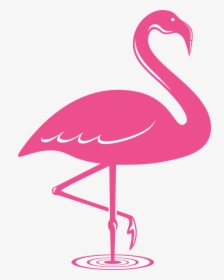 Pink Flamingo Flamingo Icon Png, Transparent Png, Transparent PNG